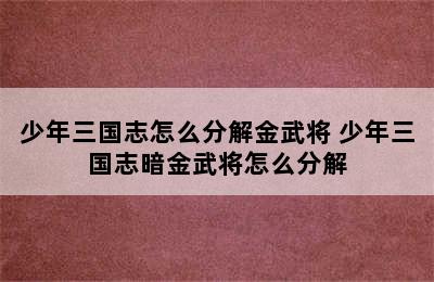 少年三国志怎么分解金武将 少年三国志暗金武将怎么分解